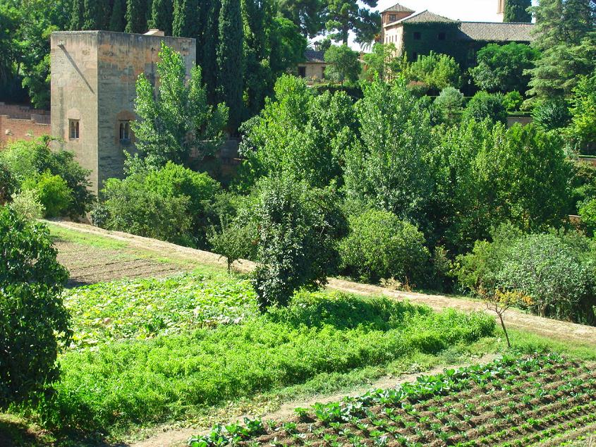 ¿Sabías que la Alhambra recupera cultivos andalusíes en las huertas del Generalife?