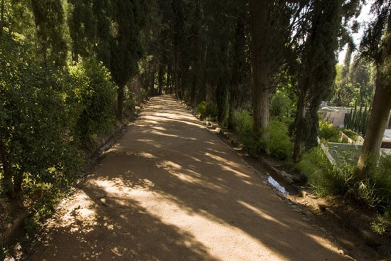 The promenade of the cypress trees