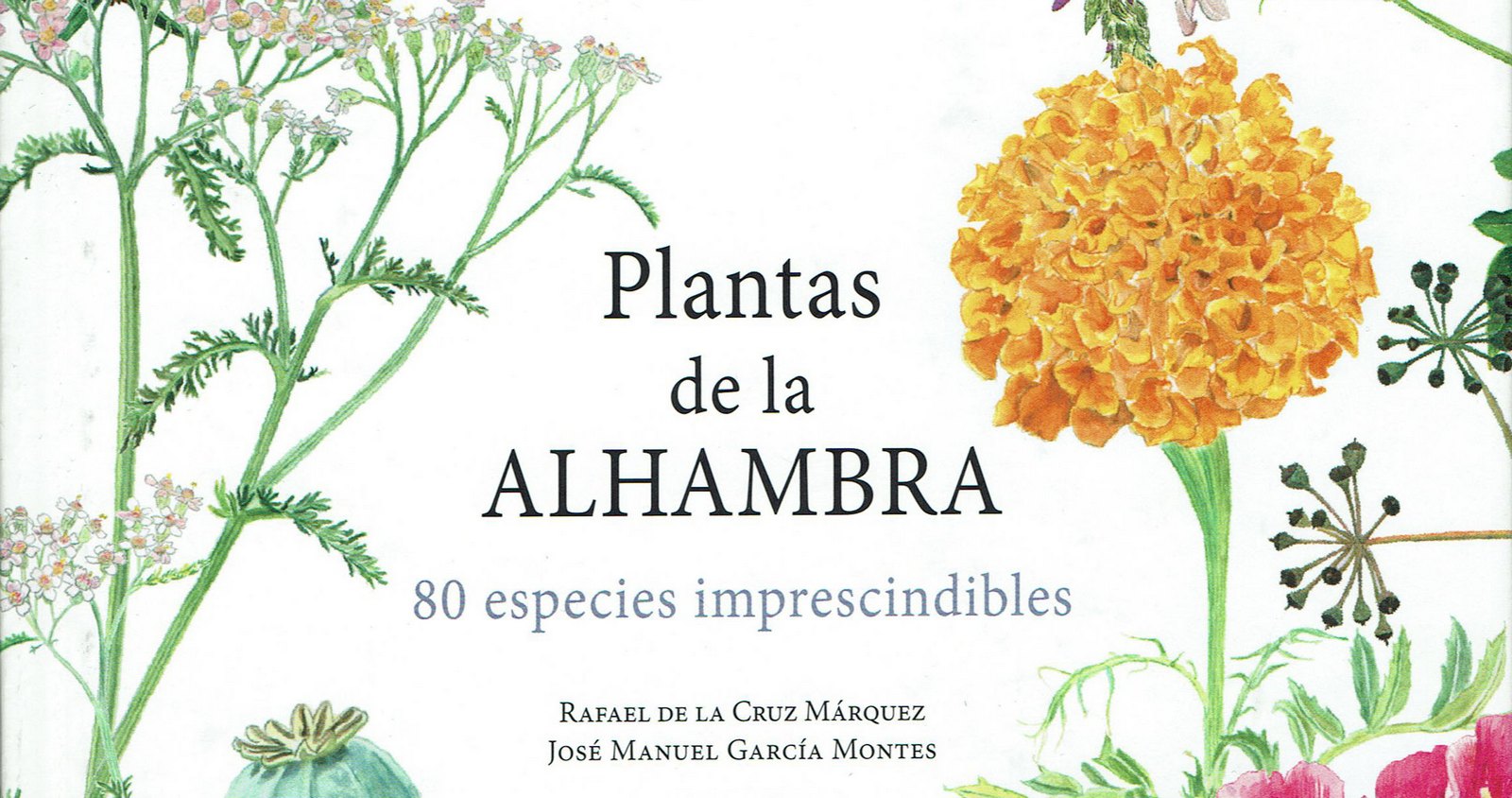 Enriquecimiento celos límite 80 plantas imprescindibles en la Alhambra - Patronato de la Alhambra y  Generalife