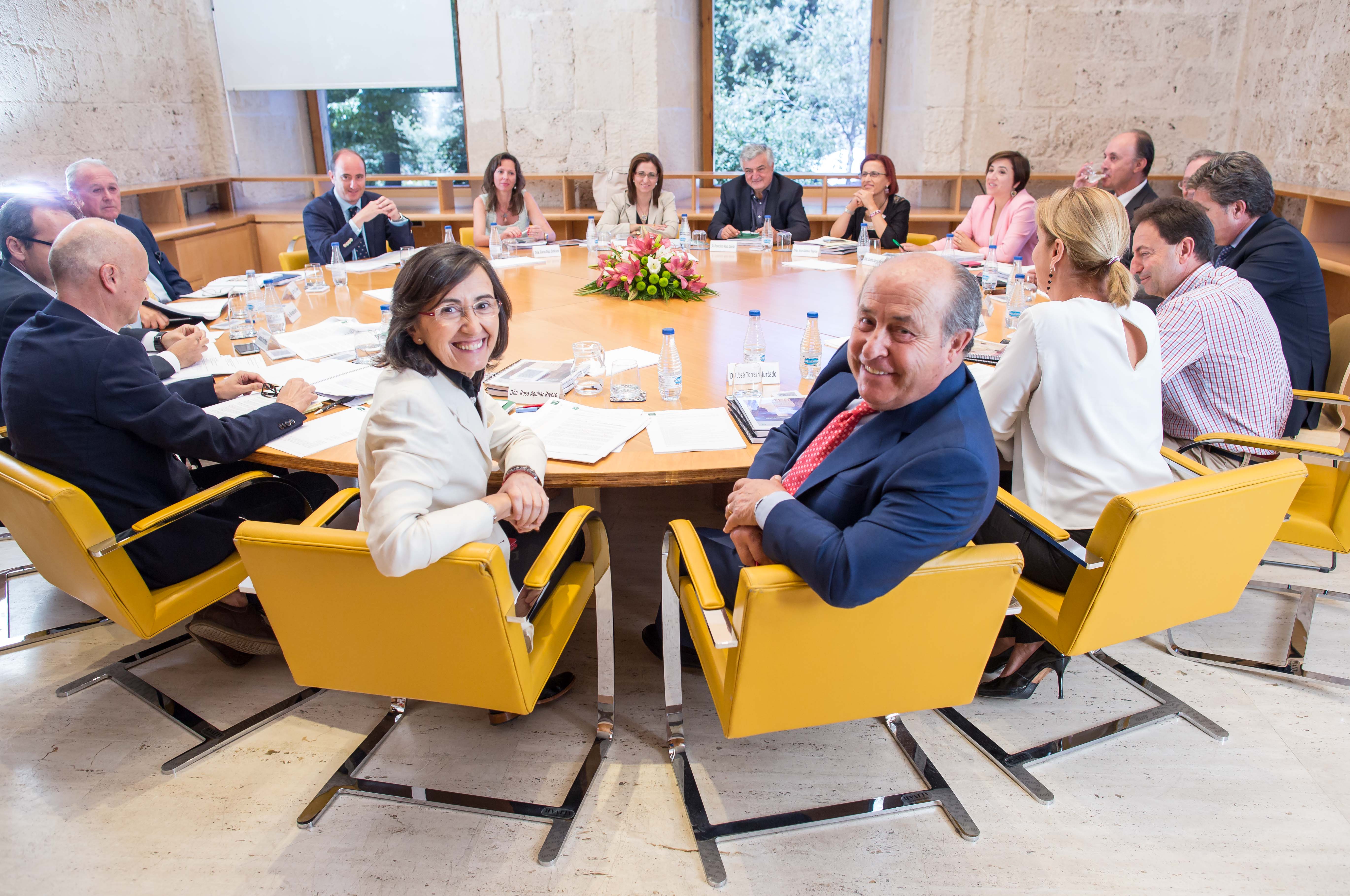 The regional minister of culture chairs the assembly of the council of the alhambra and generalife
