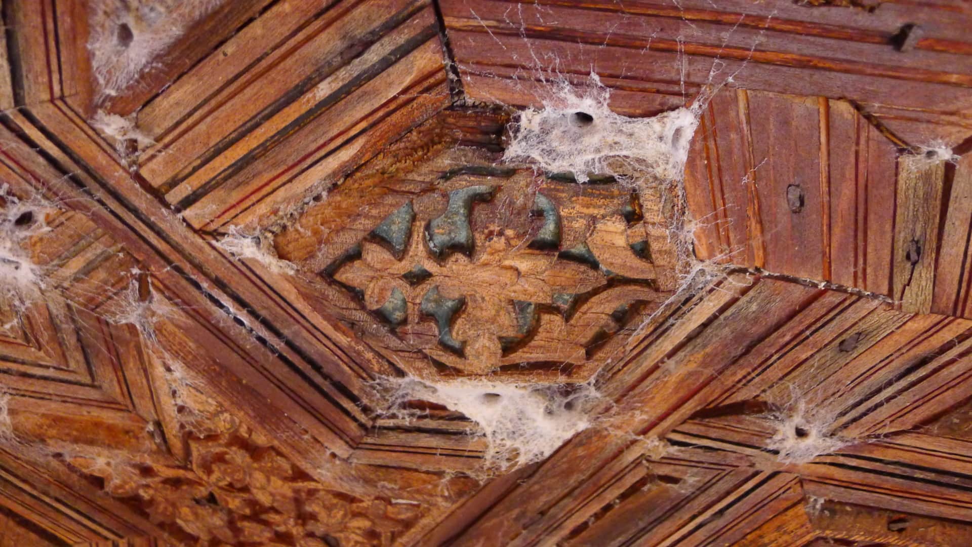 Nidos de Arácnidos en Armadura semiesférica