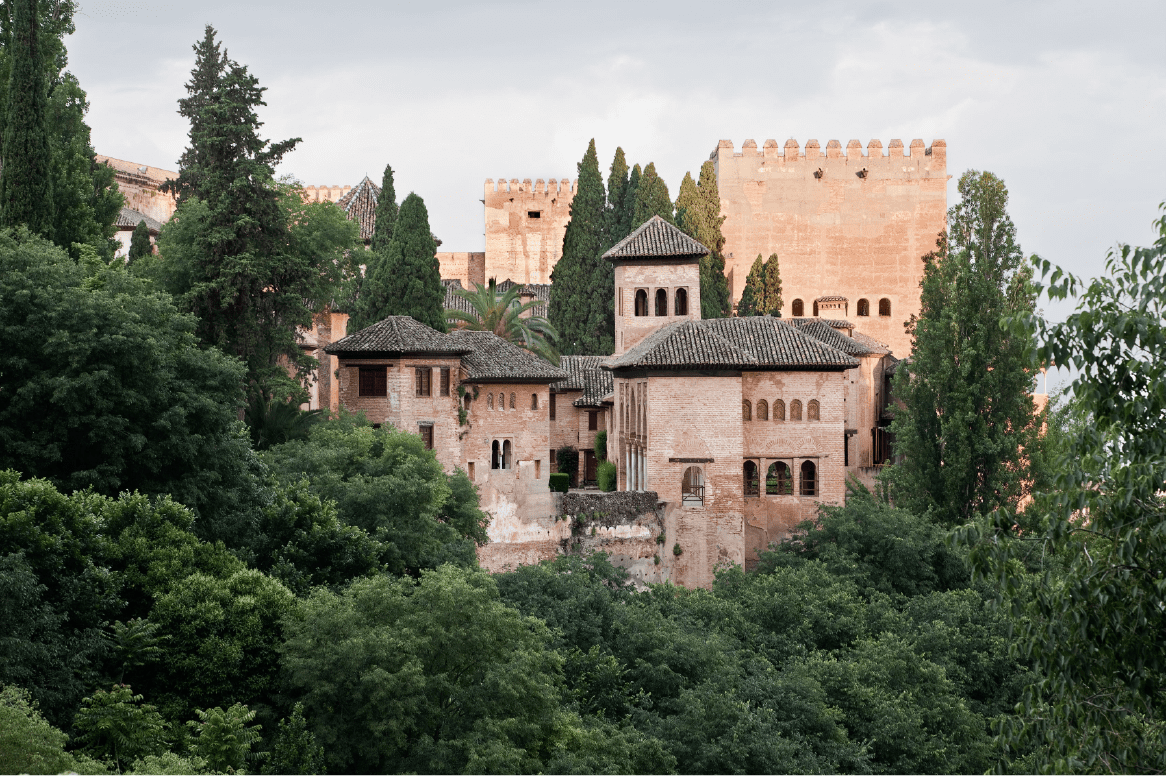 Vistas Alhambra entre vegetación