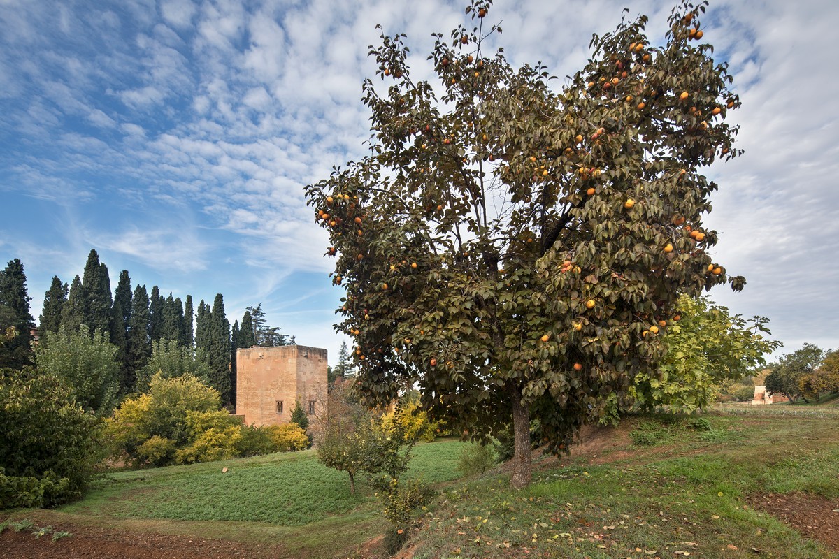 Las almunias de la Alhambra