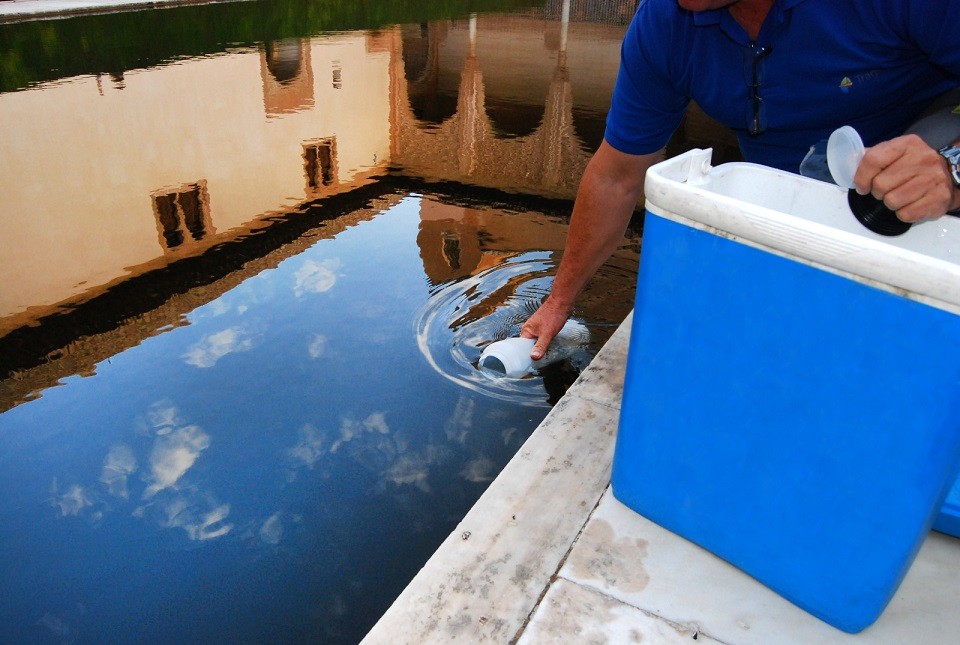 La Alhambra licita la toma de muestras y el análisis de agua de riego del monumento