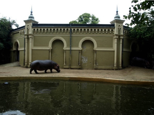 El impacto de la Alhambra en el diseño moderno